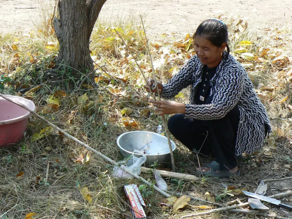 Squeezing small fish into a grill spit