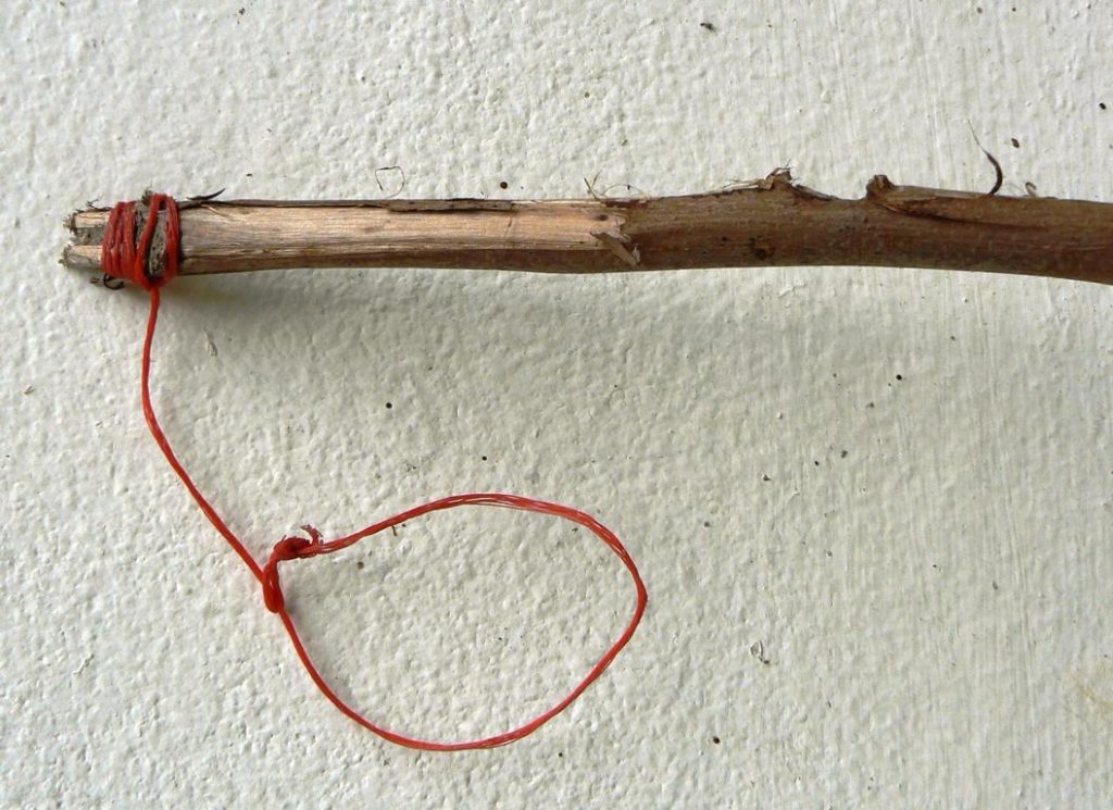 Crab snare on a short extension line.