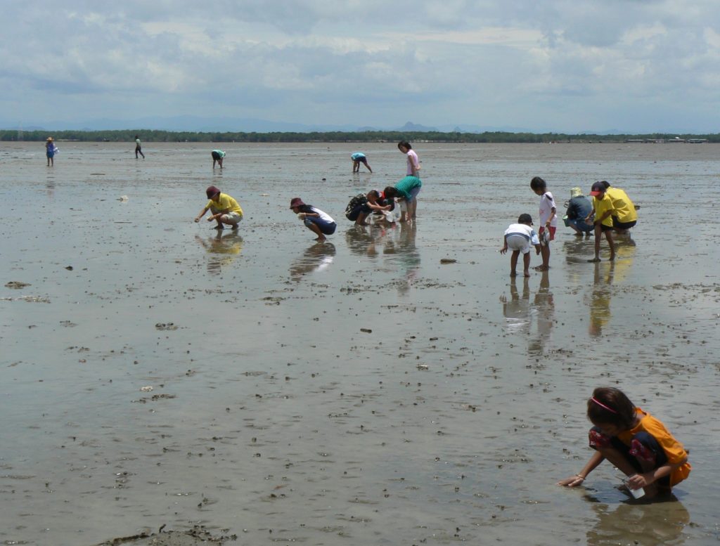 The mudflat of Don Hoi Lot