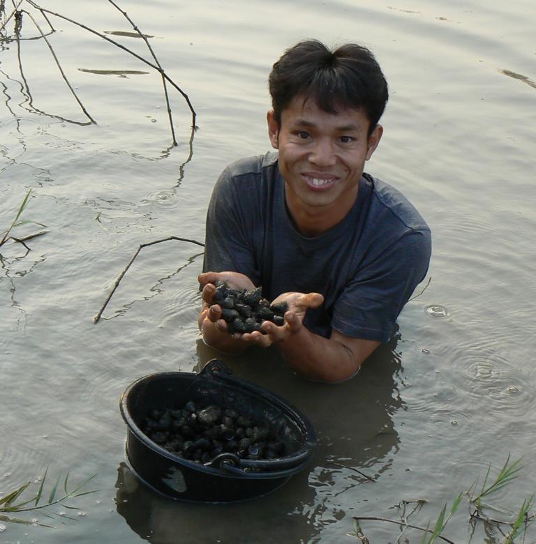Freshwater snails for food Bushguide 101