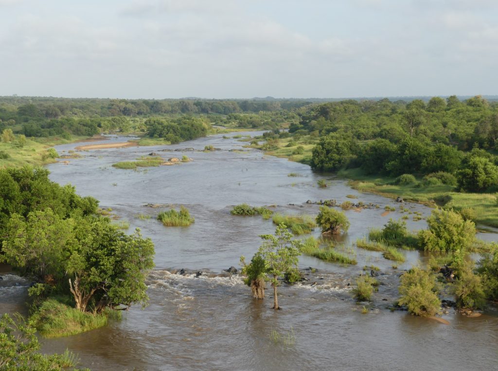 Letaba river