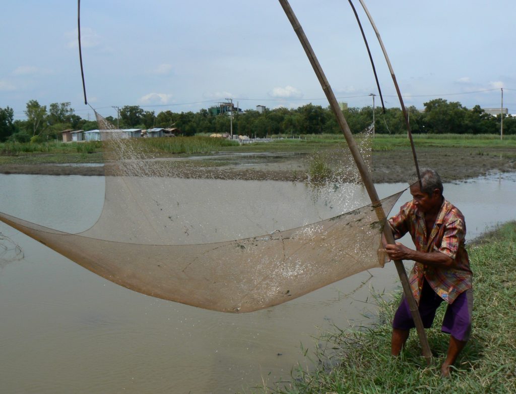 Hand lifting net for fishing in Thailand