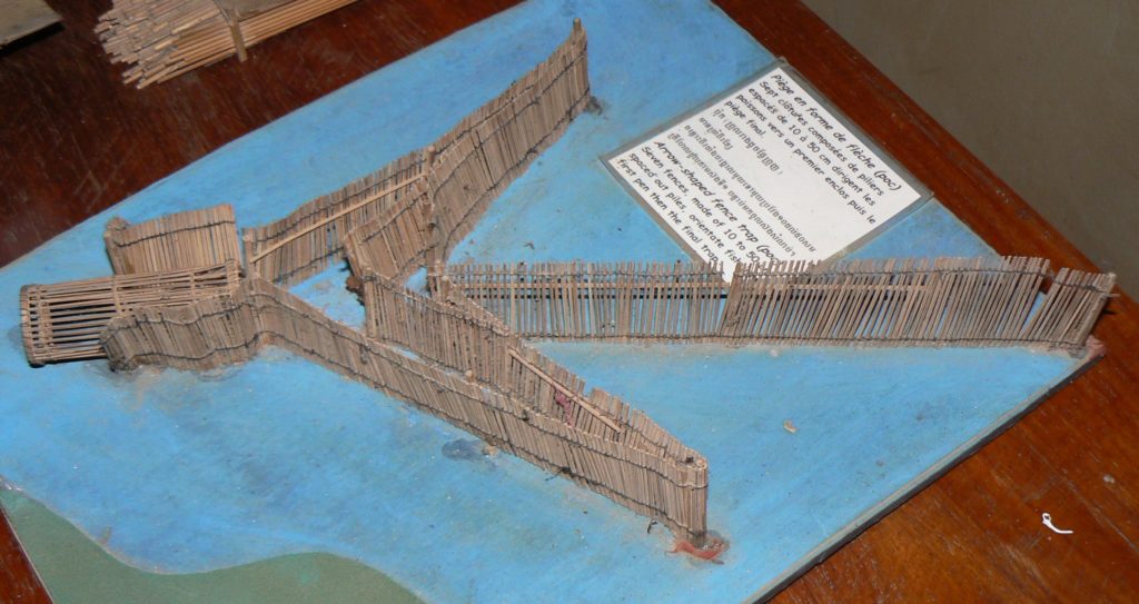 Model of a Bamboo fence fish trap at Seam Reap museum, Cambodia