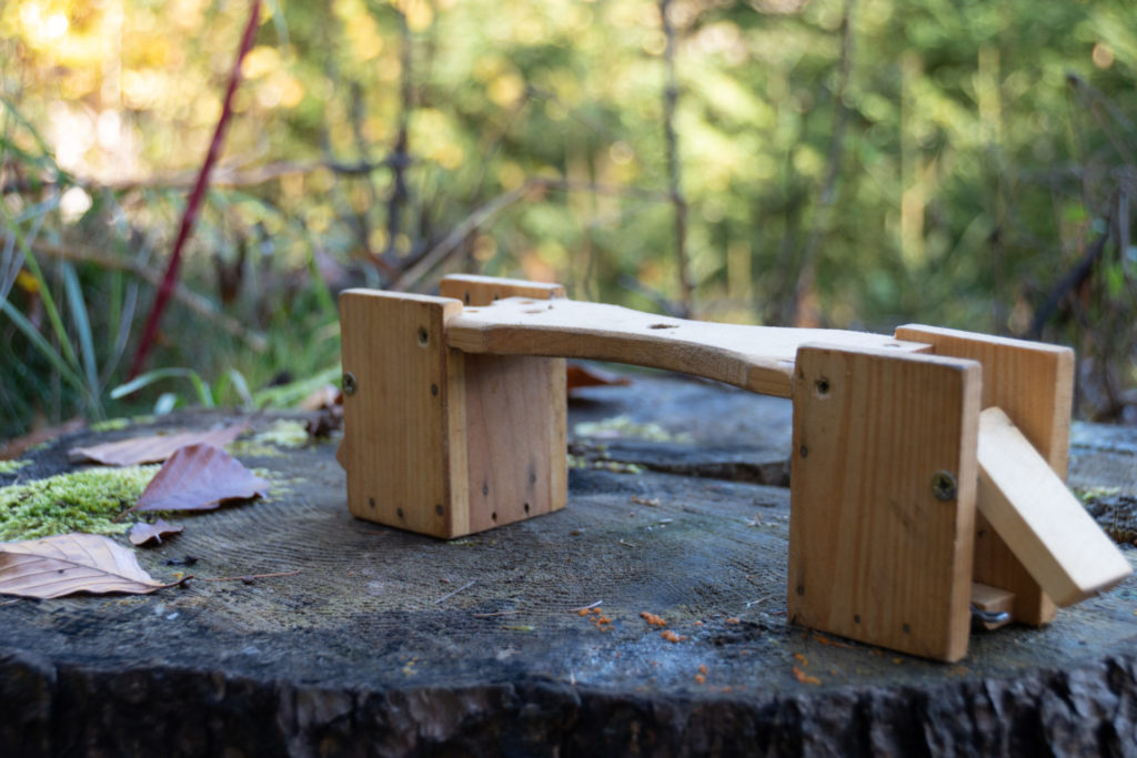 wooden double box trap for dormouse trapping
