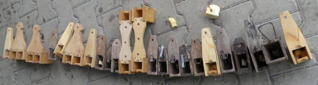 various designs of box traps for dormouse trapping
