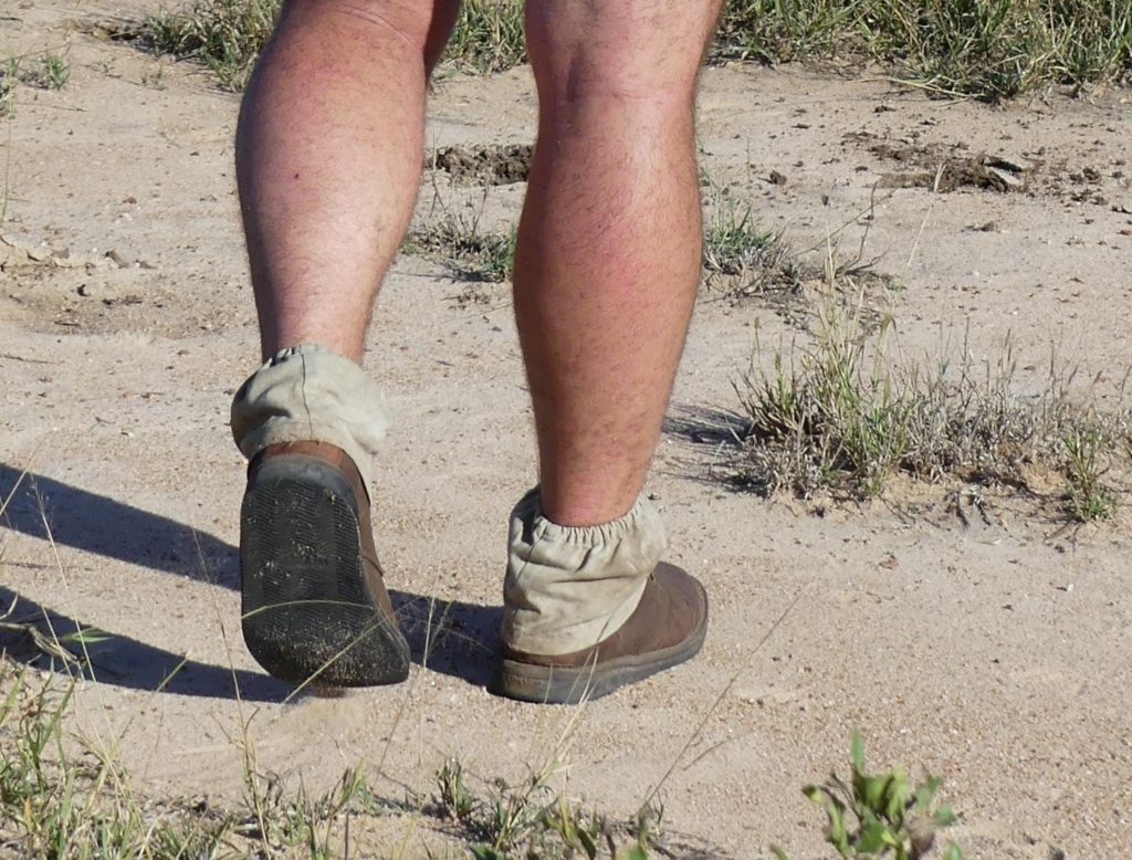 Classic safari footwear of a Field Guide