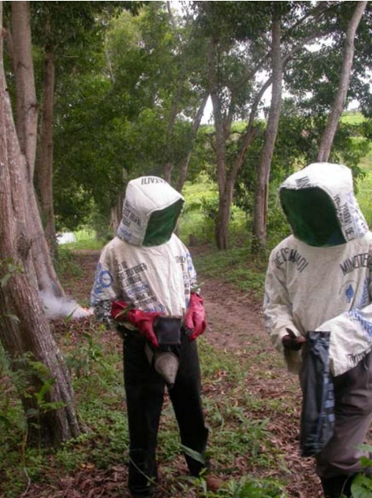 What Personal Protective Clothing Do Beekeepers Need?