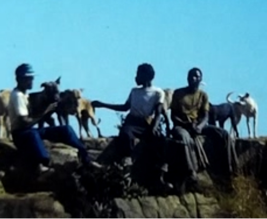 Young Zulu hunters near Hlobane, KwaZulu-Natal province, South Africa