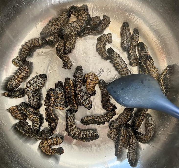 Frying mopane worms
