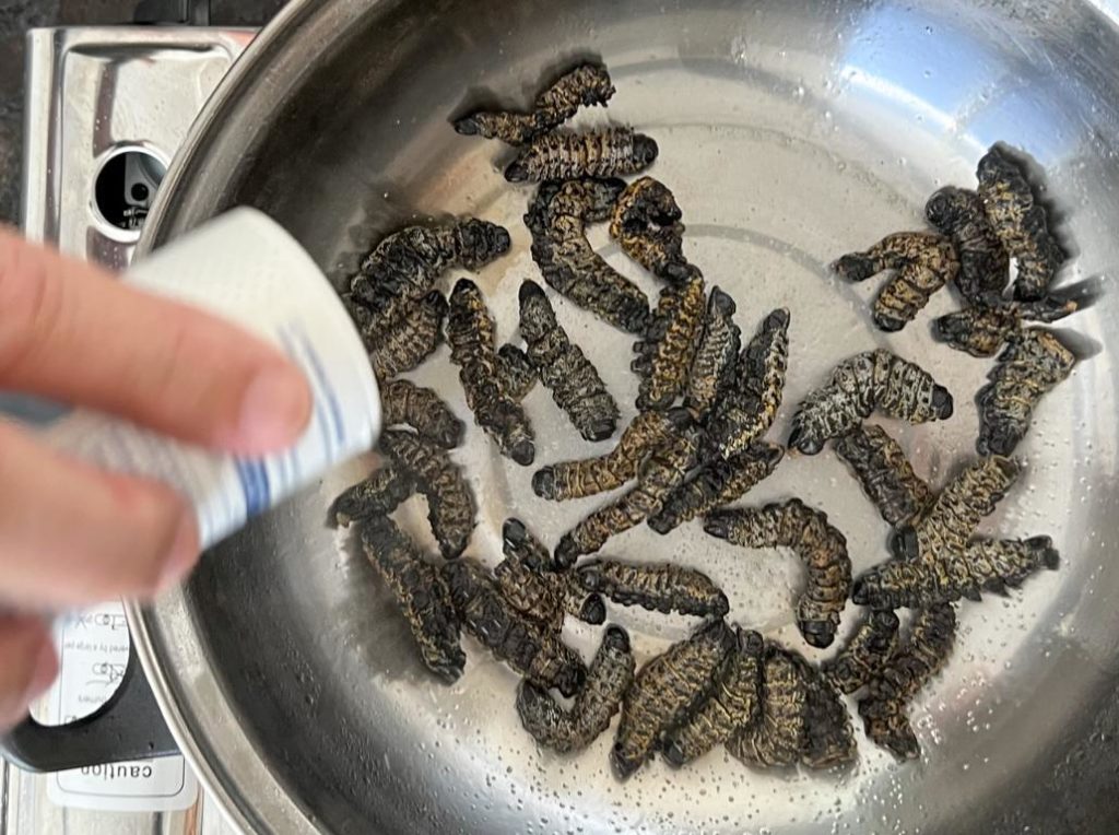 Salting mopane worms