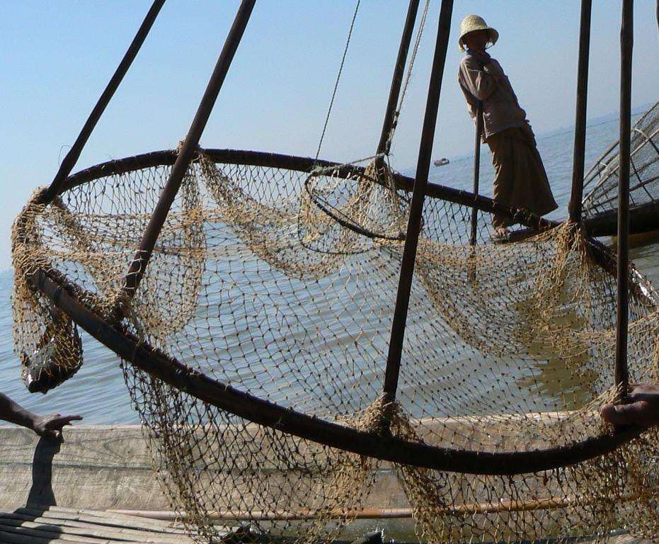 Traditional fishing at Inle lake in Myanmar - Bushguide 101