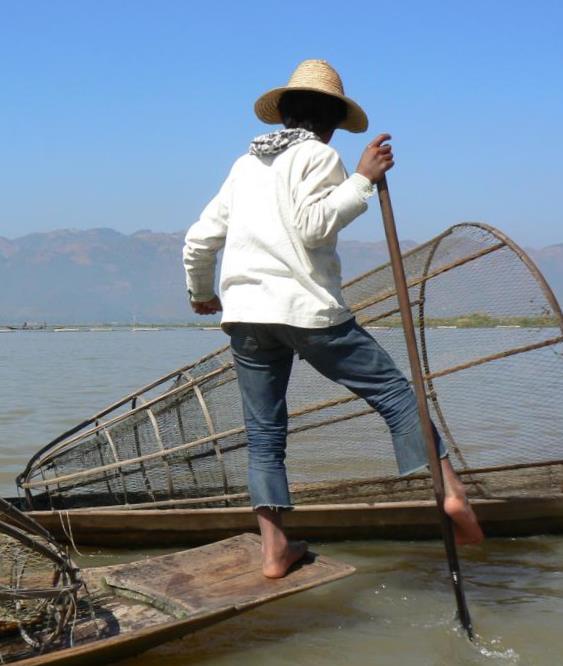 Traditional fishing at Inle lake in Myanmar - Bushguide 101