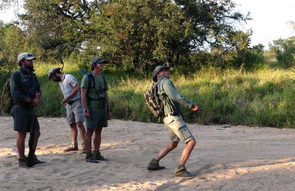 Scrub hare droppings – distance spitting competition