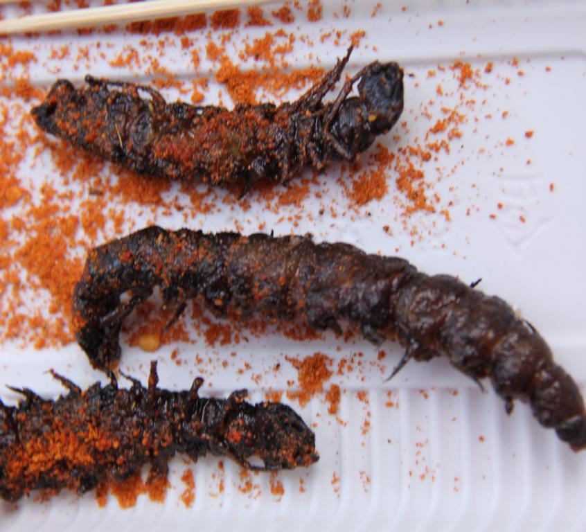 Fried centipedes with chili-salt