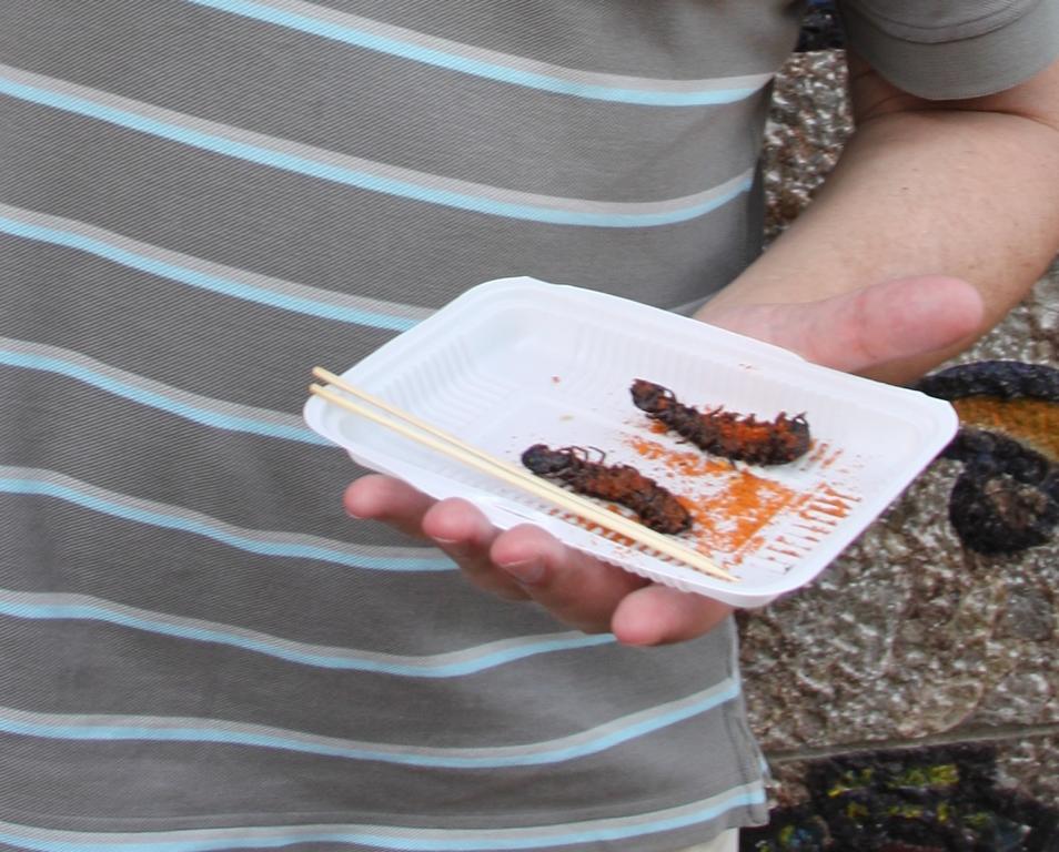 Having nearly eaten up the fried centipedes