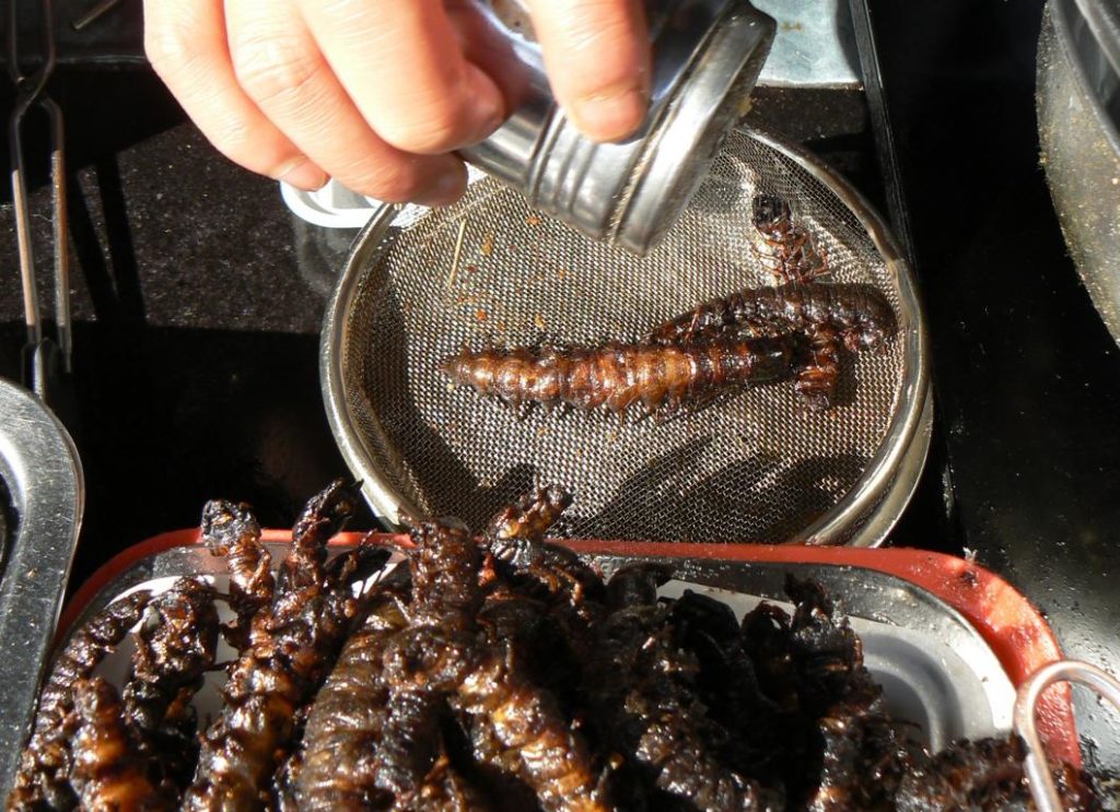 Salting of fried centipedes