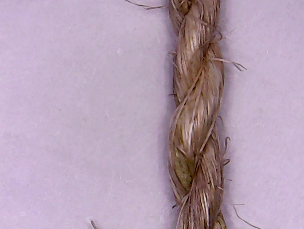 Detail of a bow string