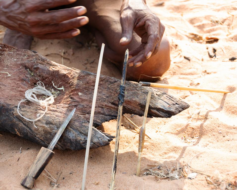 Material used for crafting bushmen arrows