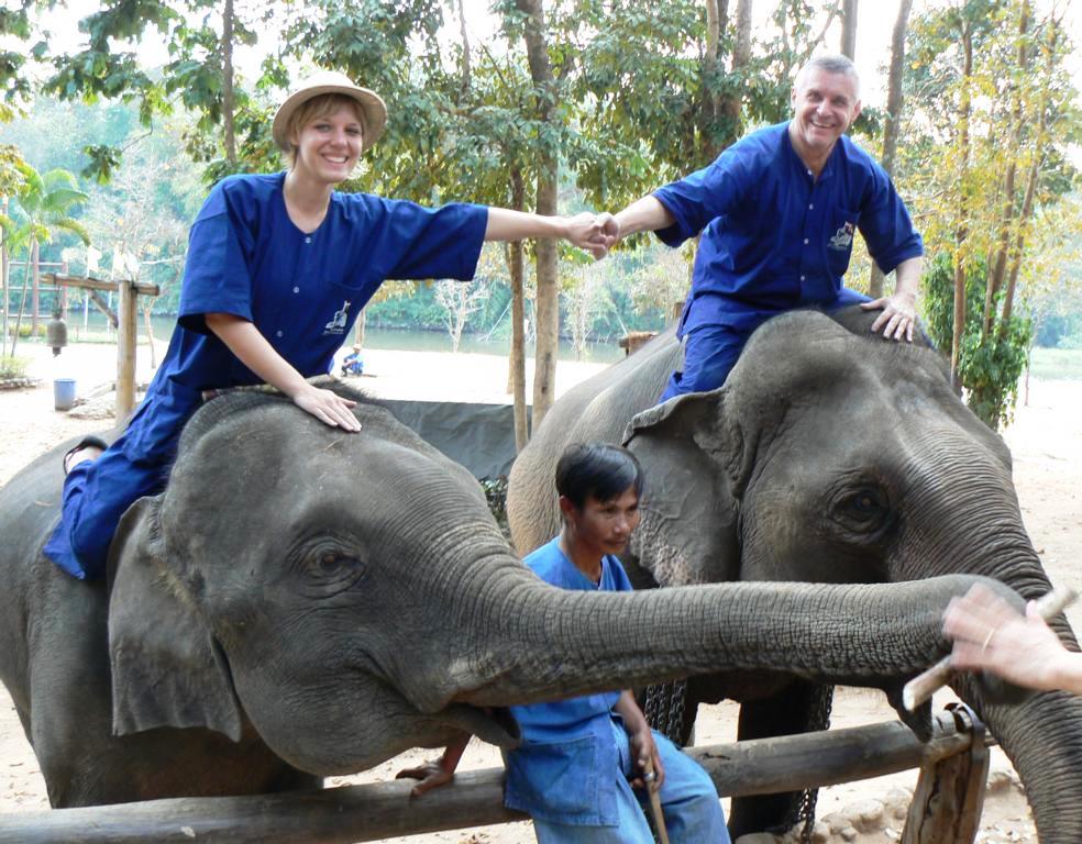 Happy family on elephants