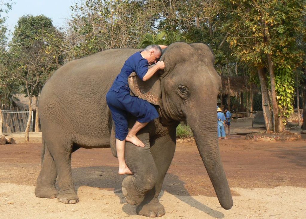 Mounting an elephant via its front leg