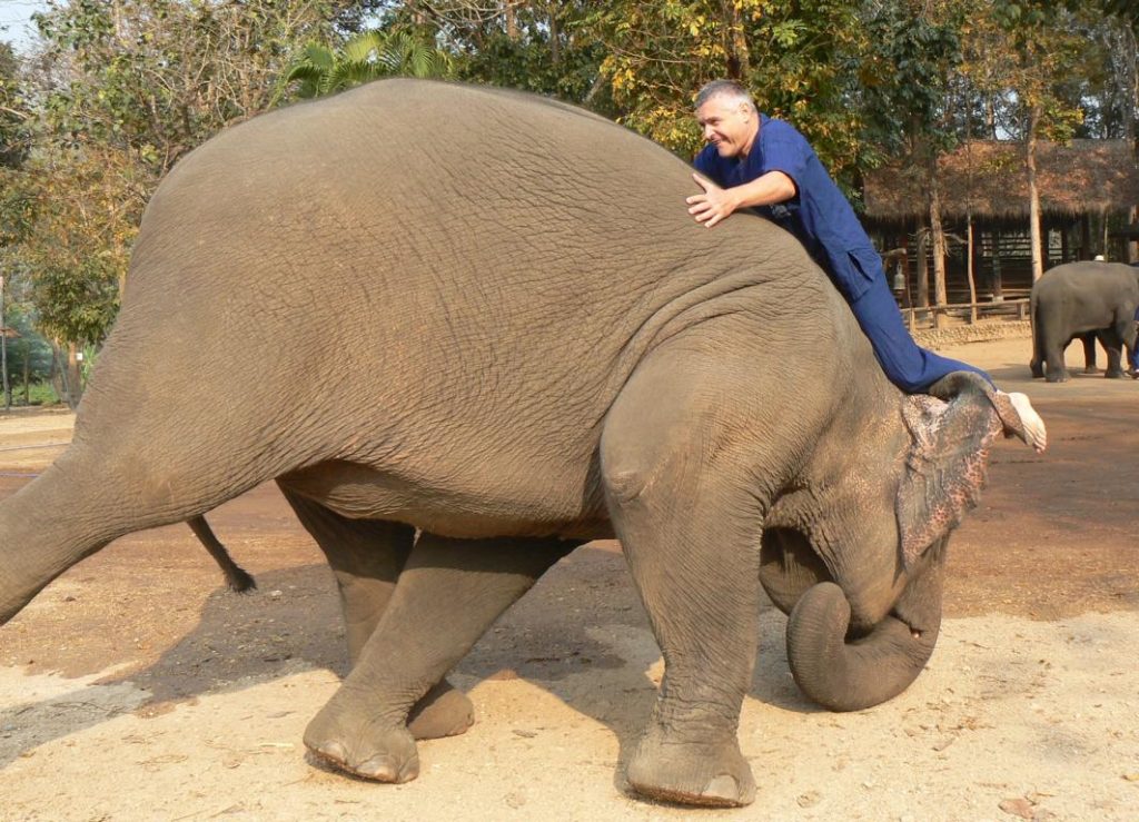 Sliding down from the elephant via its head