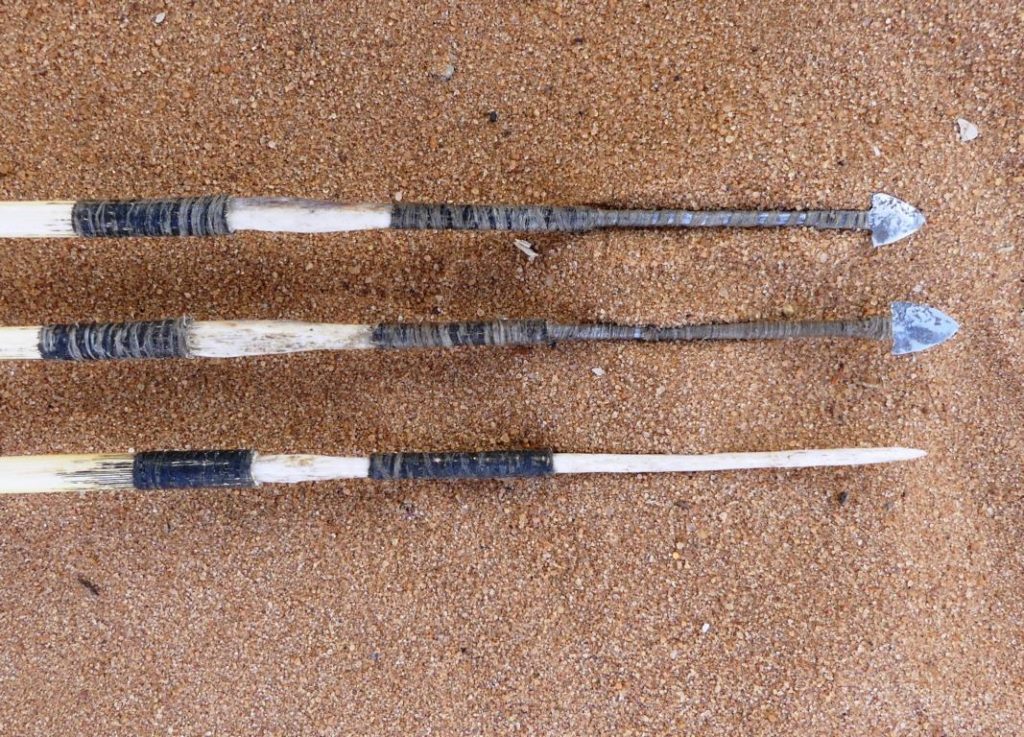 Arrowhead side of a bushmen reed arrow
