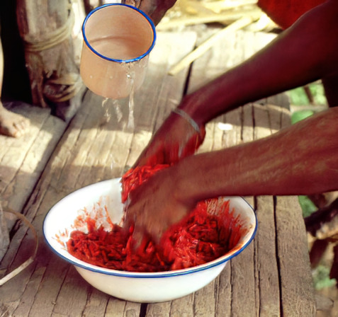 Squeezing Marita fruit kernels