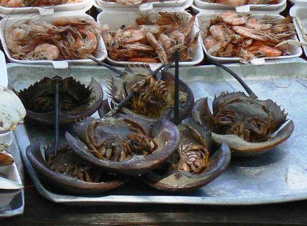 Horseshoe crabs on sale at Don Hoi Lod in Thailand