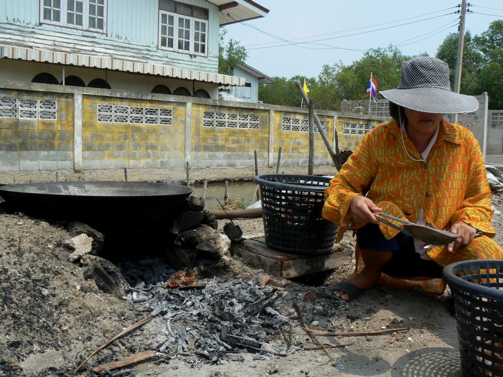 Removing fried horseshoe crabs from the hot coals in Thailand
