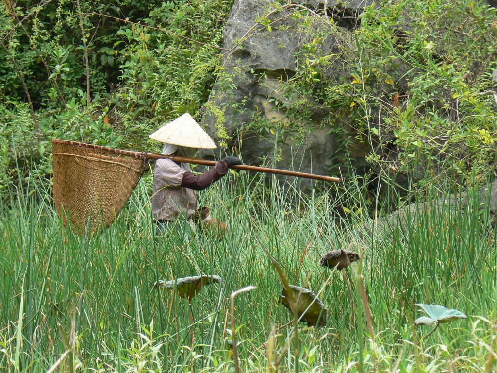 Vietnamese fisherwoman with fishing basket