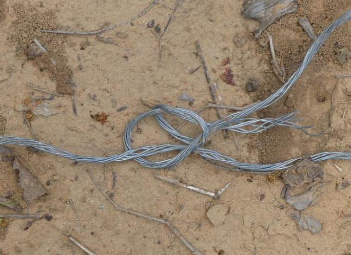 Single knot on a snare made from a spliced cable