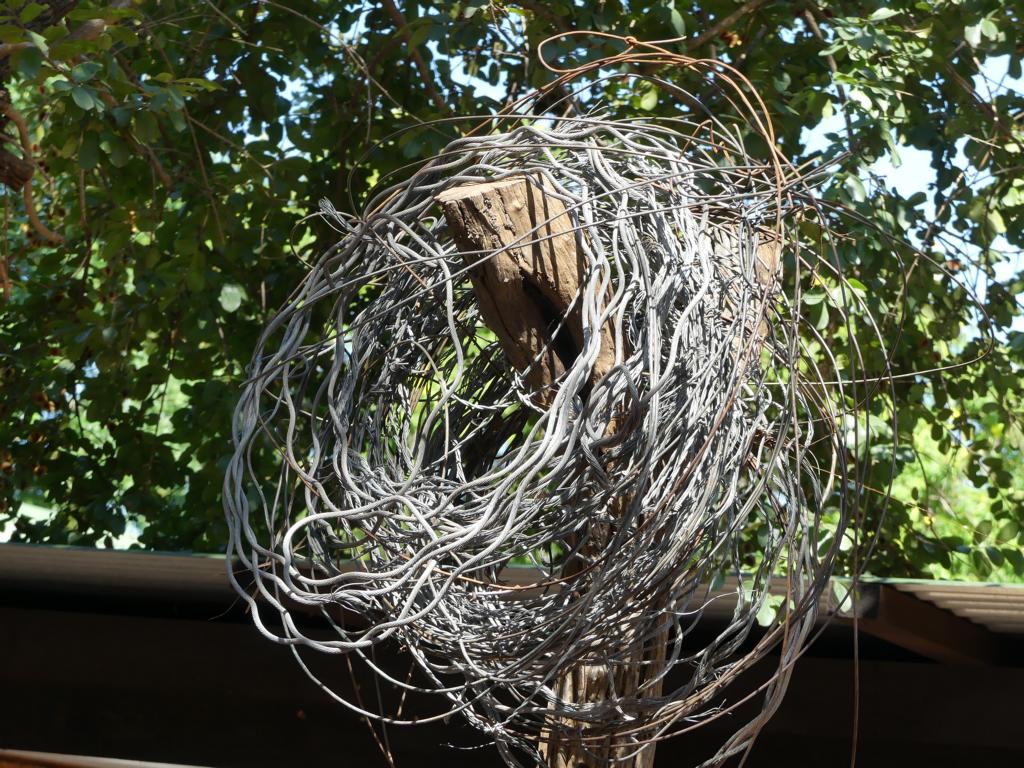 Bushmeat snares made of spliced cables, plain wire and barbed wire from fence lines