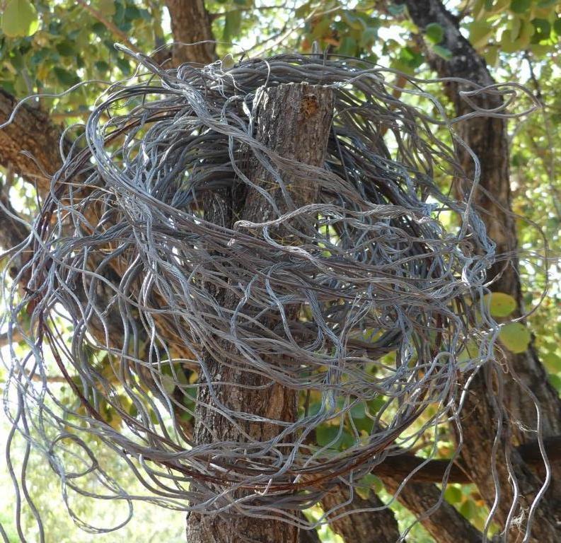 Bushmeat snares from spliced cables