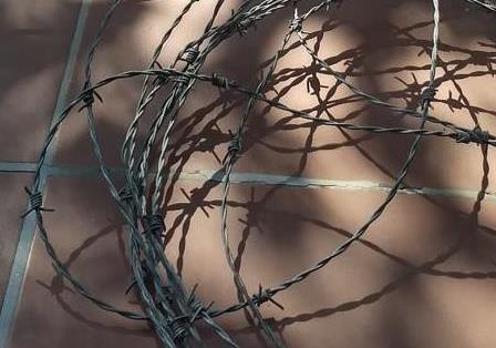 Barbed wire for a bushmeat snare at Limpopo province, South Africa
