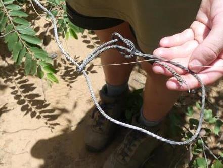 Single knot on a bushmeat snare for small and medium sized game