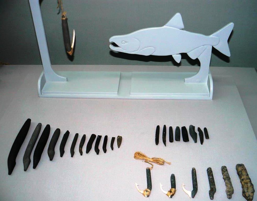 Neolithic fishhooks in Korea were mainly used for catching salmon and other large fish species