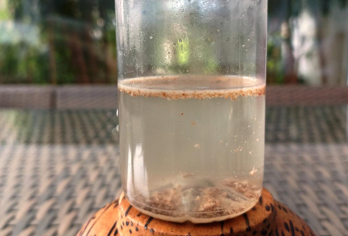 Test of cold extraction of nutrients from Tsamma melon seeds