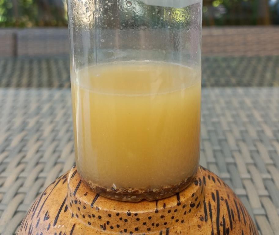 Hot extraction of nutrients from Tsamma melon seeds