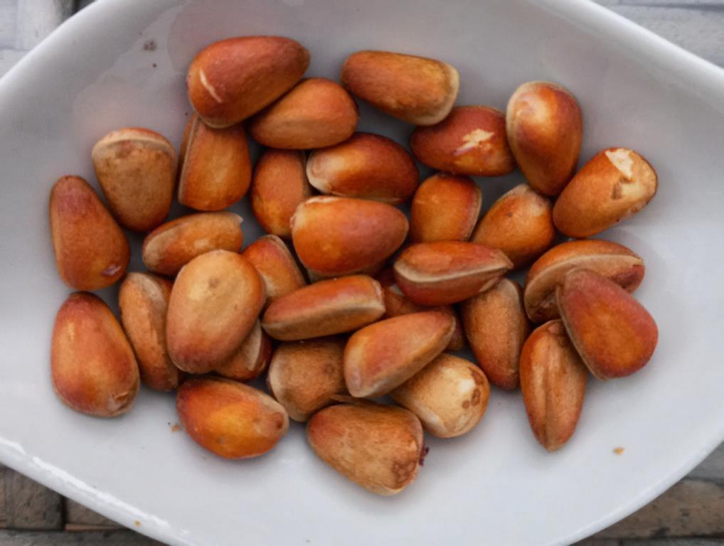 Another picture of Immature nuts, which are characterized by their light orange color and a thin white stripe