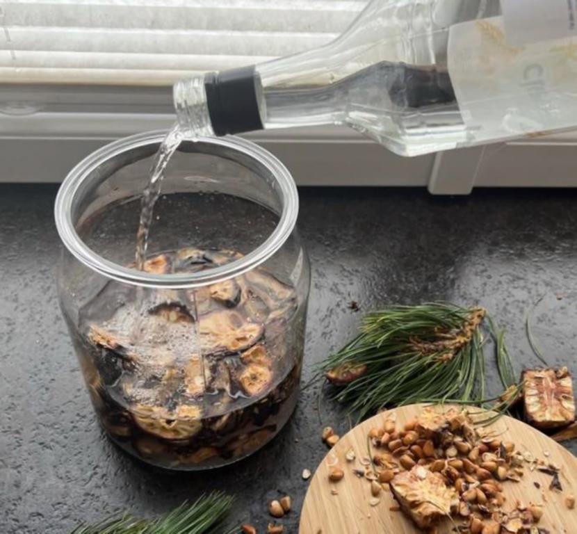 Cut slices of Swiss pine cones are submerged in white alcohol