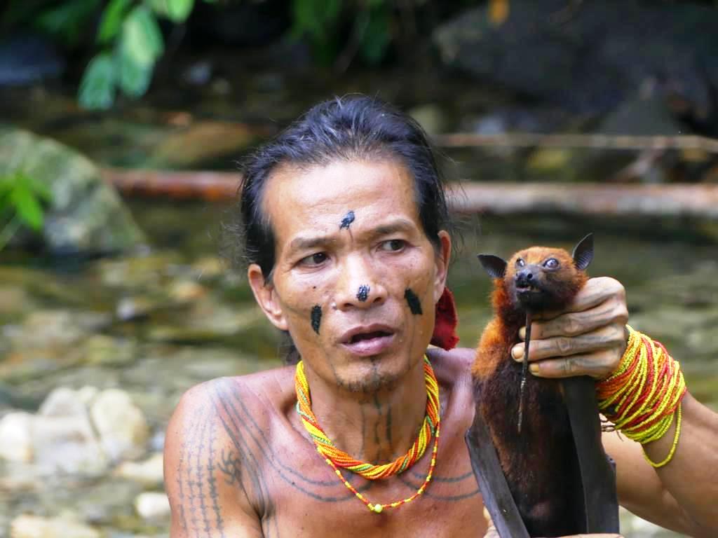 Mentawai with a Flying fox, Fruit bat, he shot