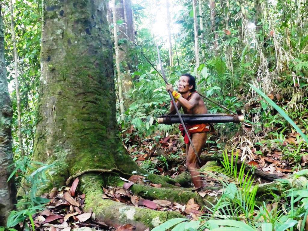 Mentawai bow hunter