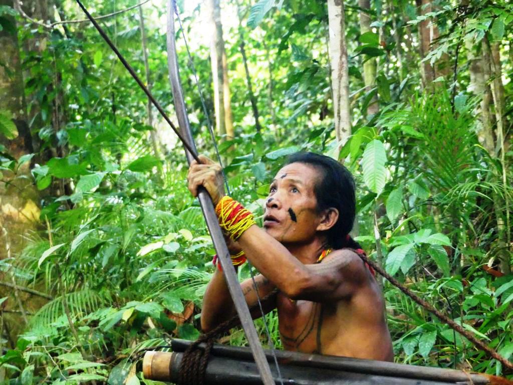 Mentawai hunter waiting with the bow for a monkey