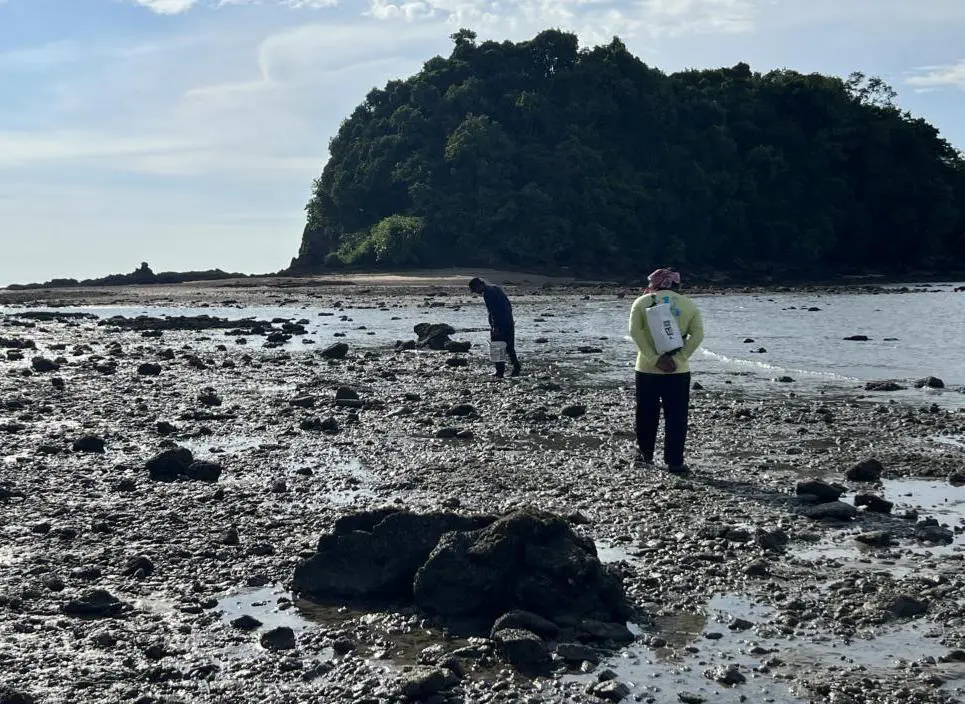 Rpcky shore for catching octopuses