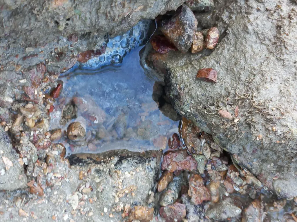 Foam as an indication of a hole populated by an octopus