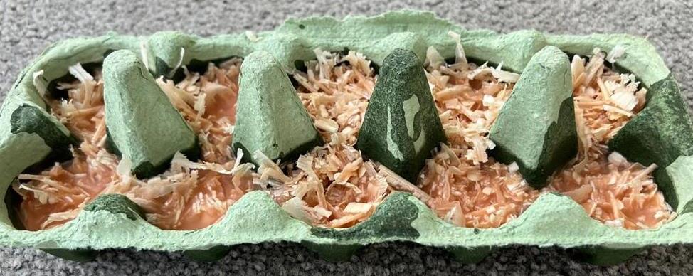 Egg carton with wood shavings and paraffin