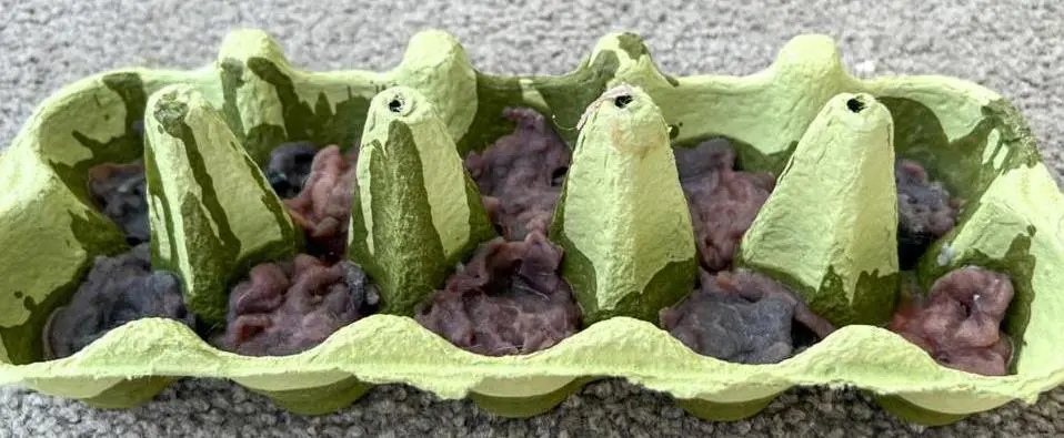 Egg carton with lint and paraffin