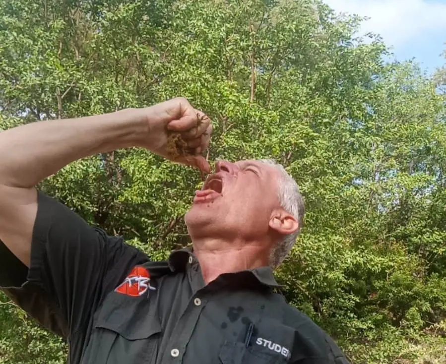 Water from elephant dung - Bushguide 101