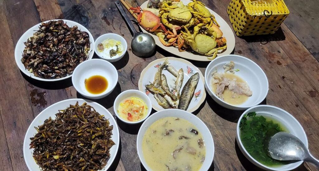 Insects, fish and crabs as food for rice farmers in Northern Vietnam