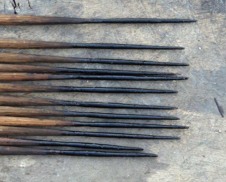Tip of monkey hunting arrows
